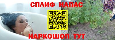 крисы Дубна