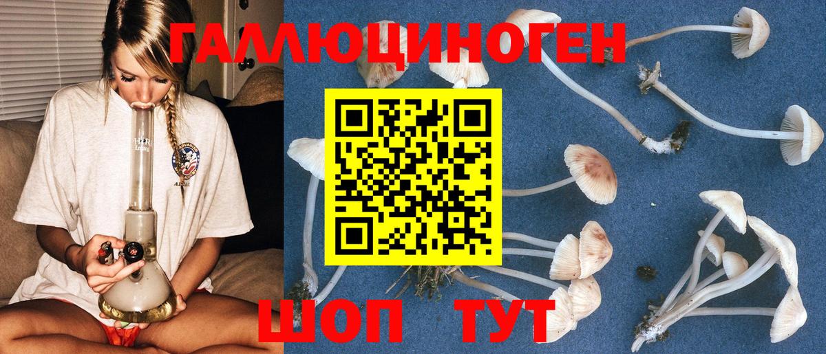 Псилоцибиновые грибы GOLDEN TEACHER  Вход с VPN  где найти наркотики  Люберцы 